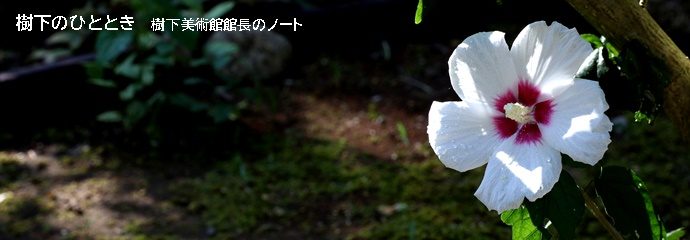 梅雨を越えてもはや「雨期」 換気、庭の花。 樹下のひととき